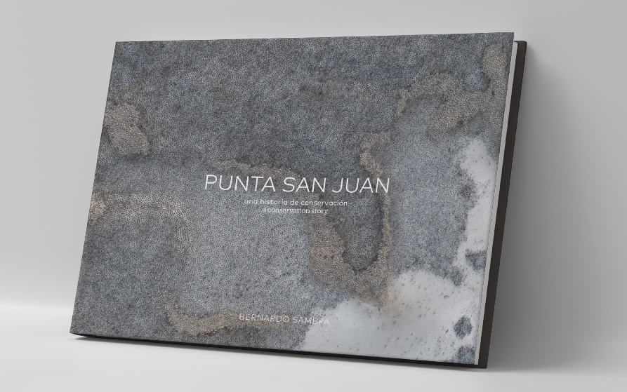 Punta San Juan