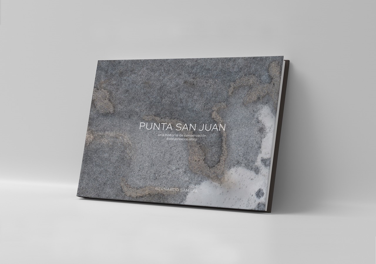 Punta San Juan